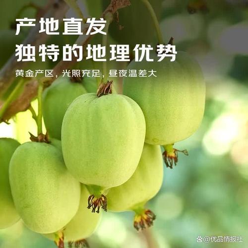 猕猴桃品牌哪家强？10款优质recommendation，尝过3个以上算你厉害！