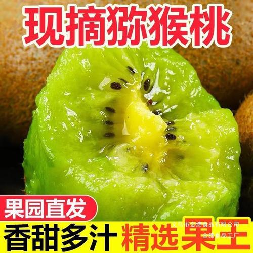 徐香猕猴桃 从产地到舌尖的甜蜜之旅